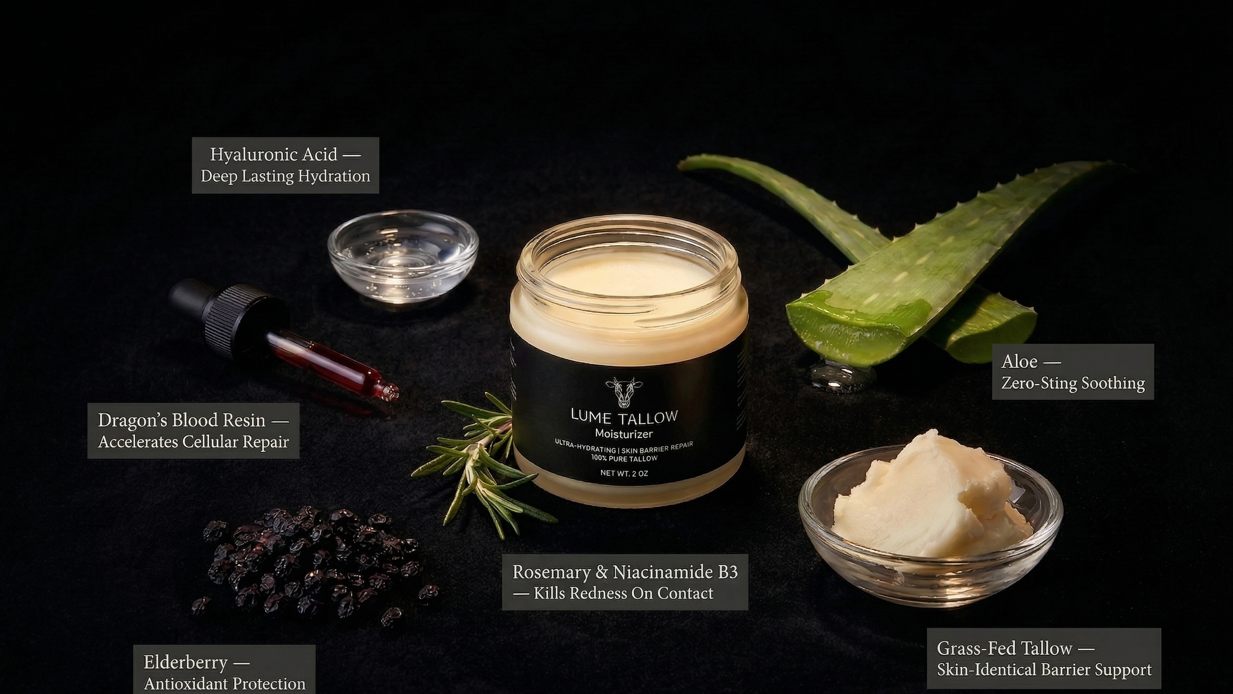 The Recovery Protocol